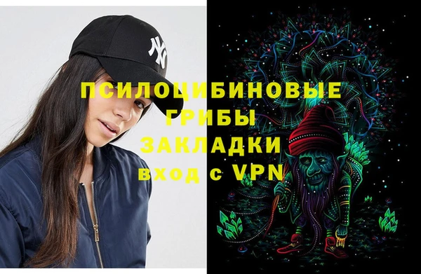 2c-b Гусиноозёрск