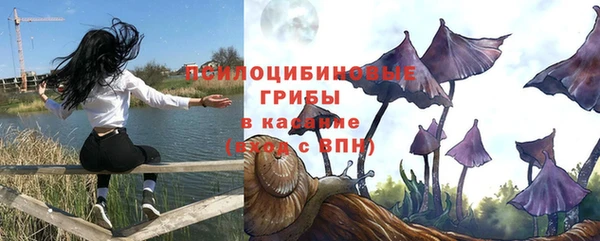 прущие крисы Гусев