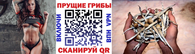 MEGA как зайти Железногорск-Илимский Галлюциногенные грибы ЛСД